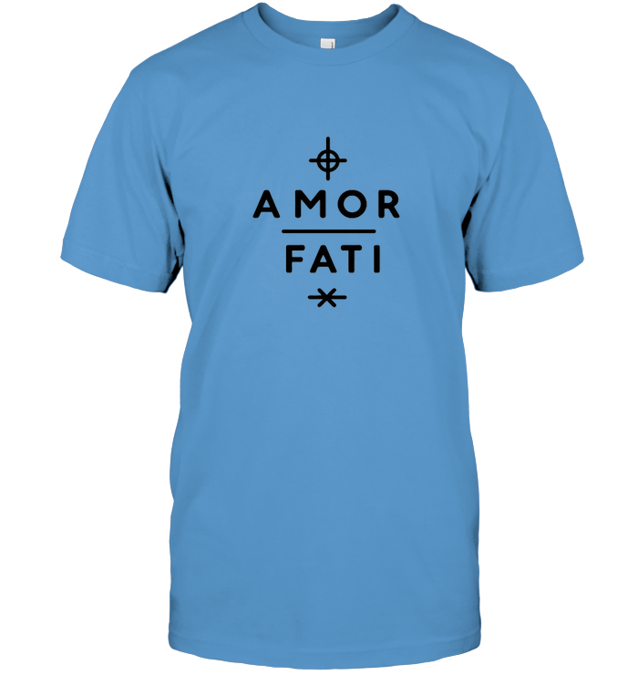 Amor Fati : l'acceptation est la clé