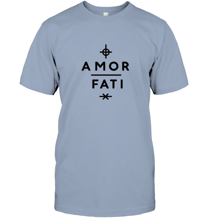 Amor Fati : l'acceptation est la clé