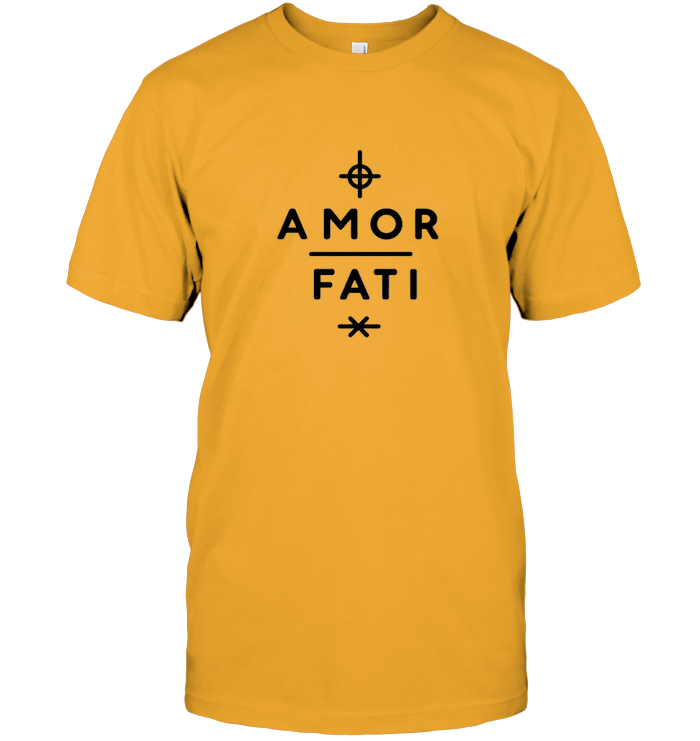Amor Fati : l'acceptation est la clé