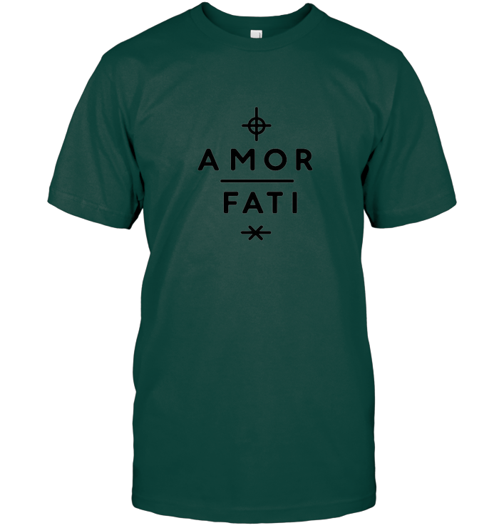 Amor Fati : l'acceptation est la clé