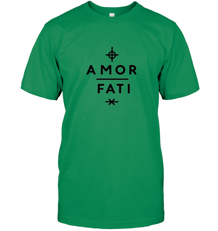Amor Fati : l'acceptation est la clé