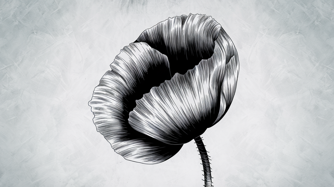 Poppy tattoo design