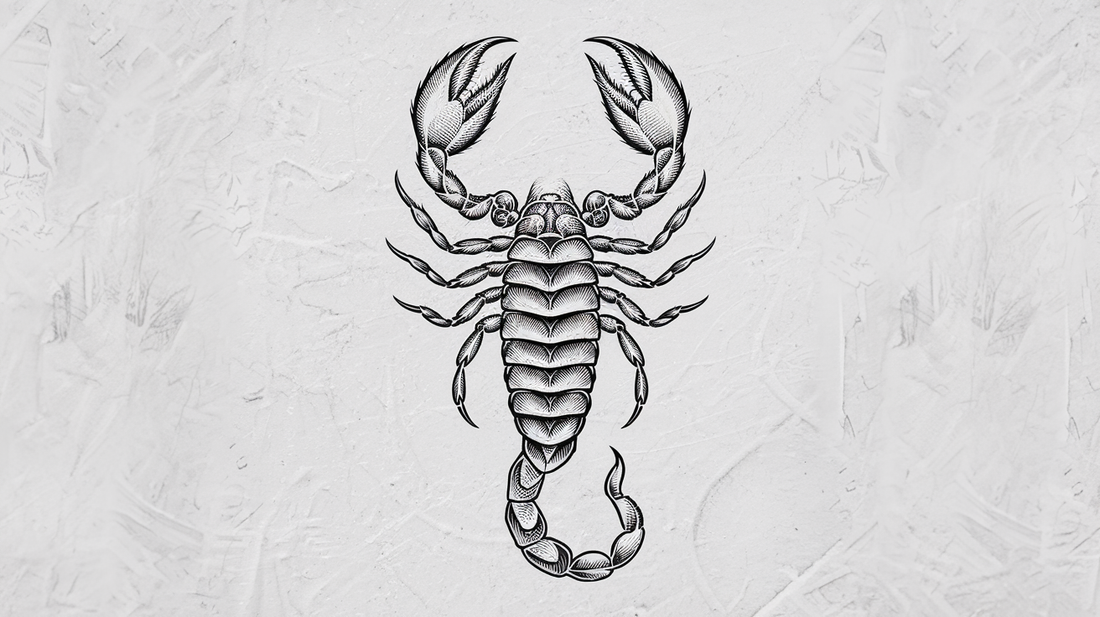 Scorpion tattoo design